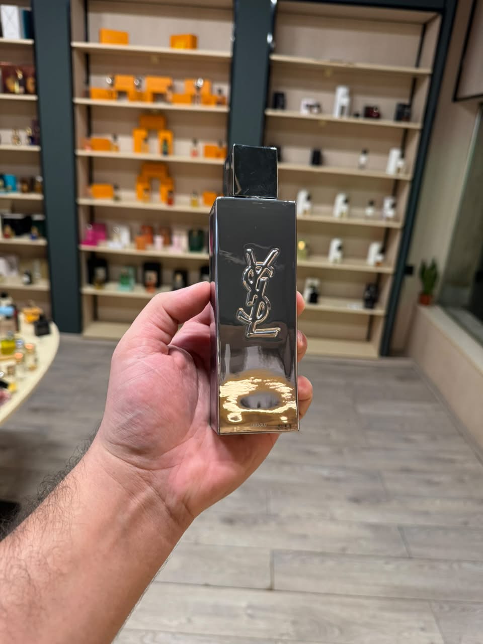 ماي سيلف ابسولو